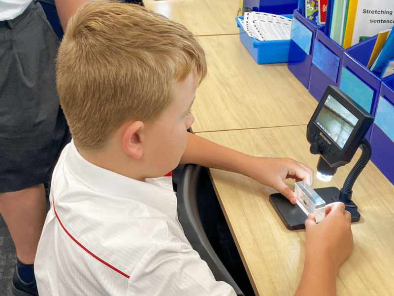 Broughton Educational Support Program